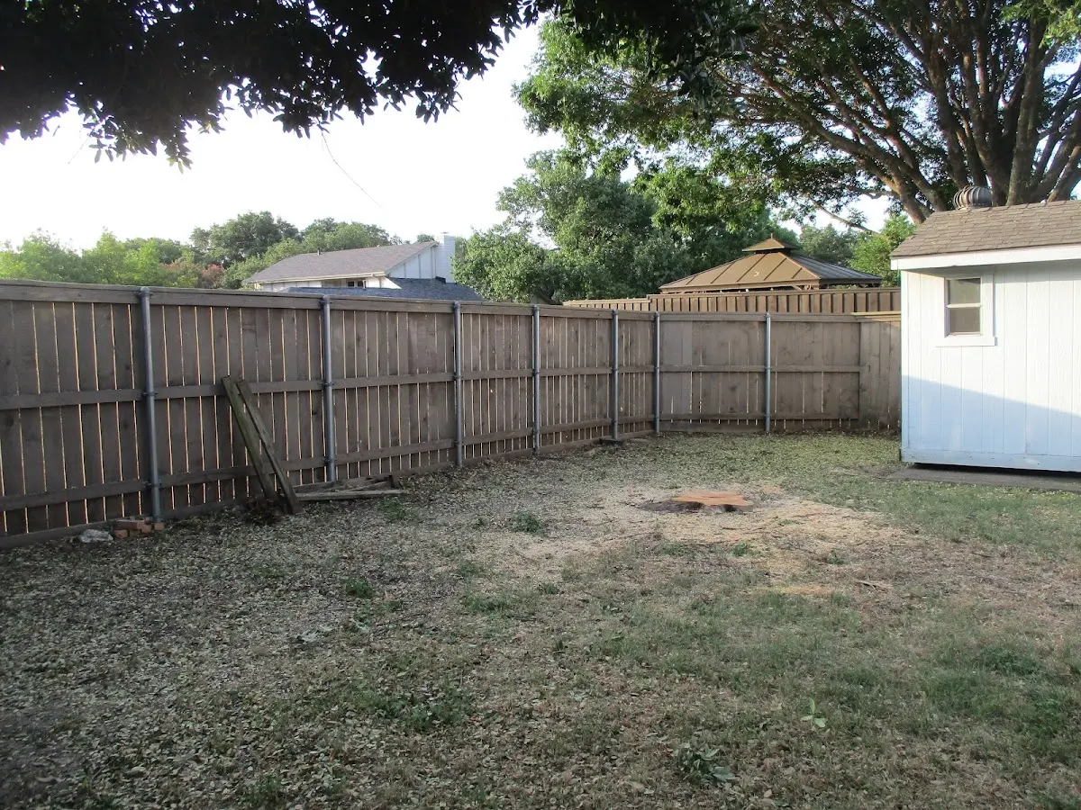 Cleared yard after professional tree removal in Jackson
